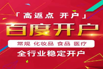 百度竞价广告案例分析：成功之道揭秘